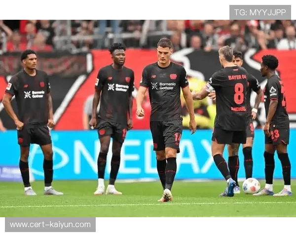 霍芬海姆vs弗赖堡,冲欧劲旅与铁血防守的攻防博弈